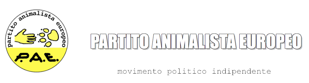 NUOVO LOGO IMPACT.png